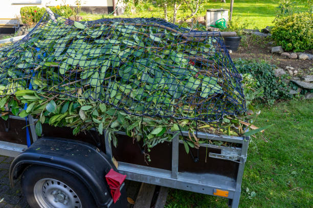 Best Shed Removal  in West Palm Beach, FL